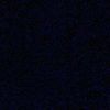 anna_polier